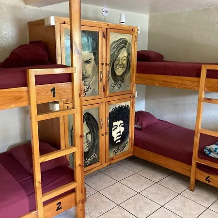 Mr. Mullets Hostel-2
