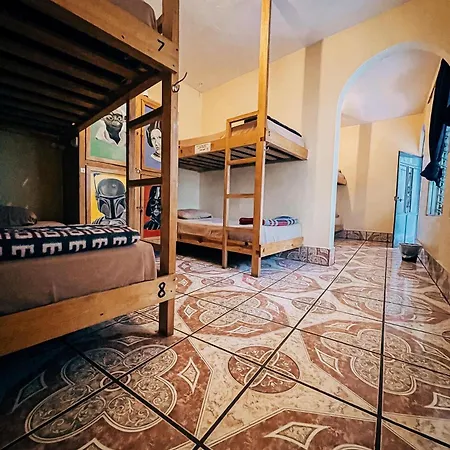 Mr. Mullets Hostel-2